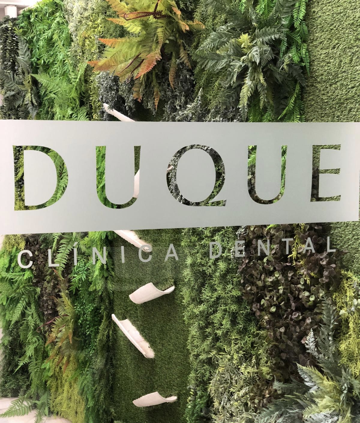 Rótulo de la Clínica Dental Duque sobre una pared de musgo preservado