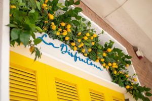 fachadas y paredes exteriores con jardines verticales