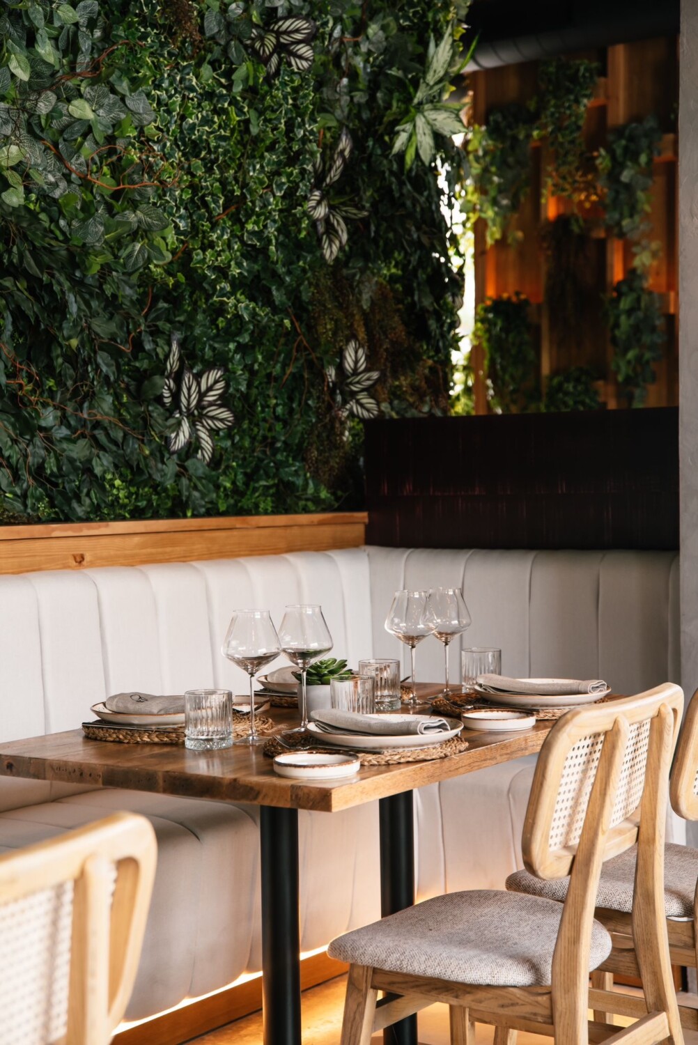 bacai-ficus-valencia-2