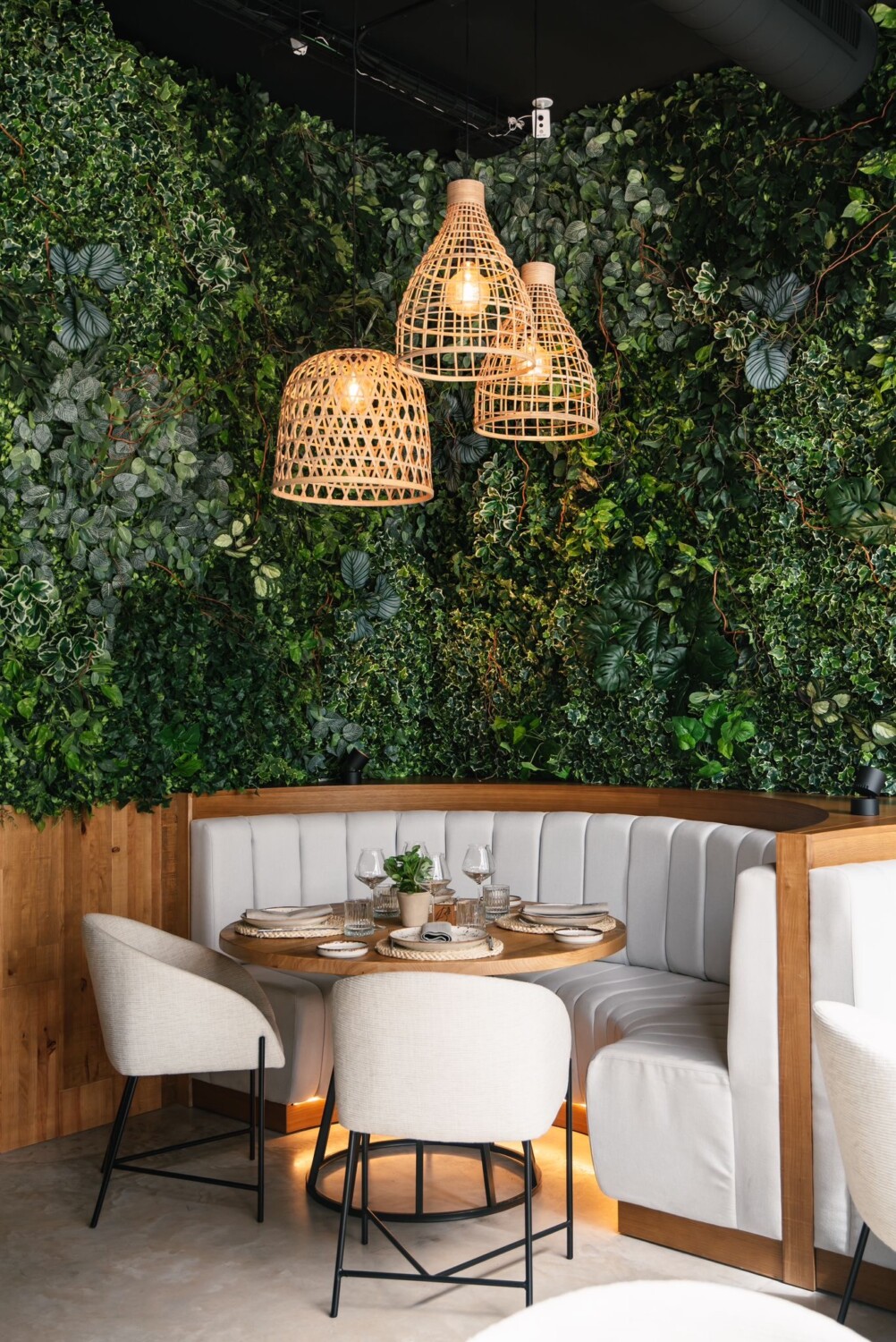 bacai-ficus-valencia-3