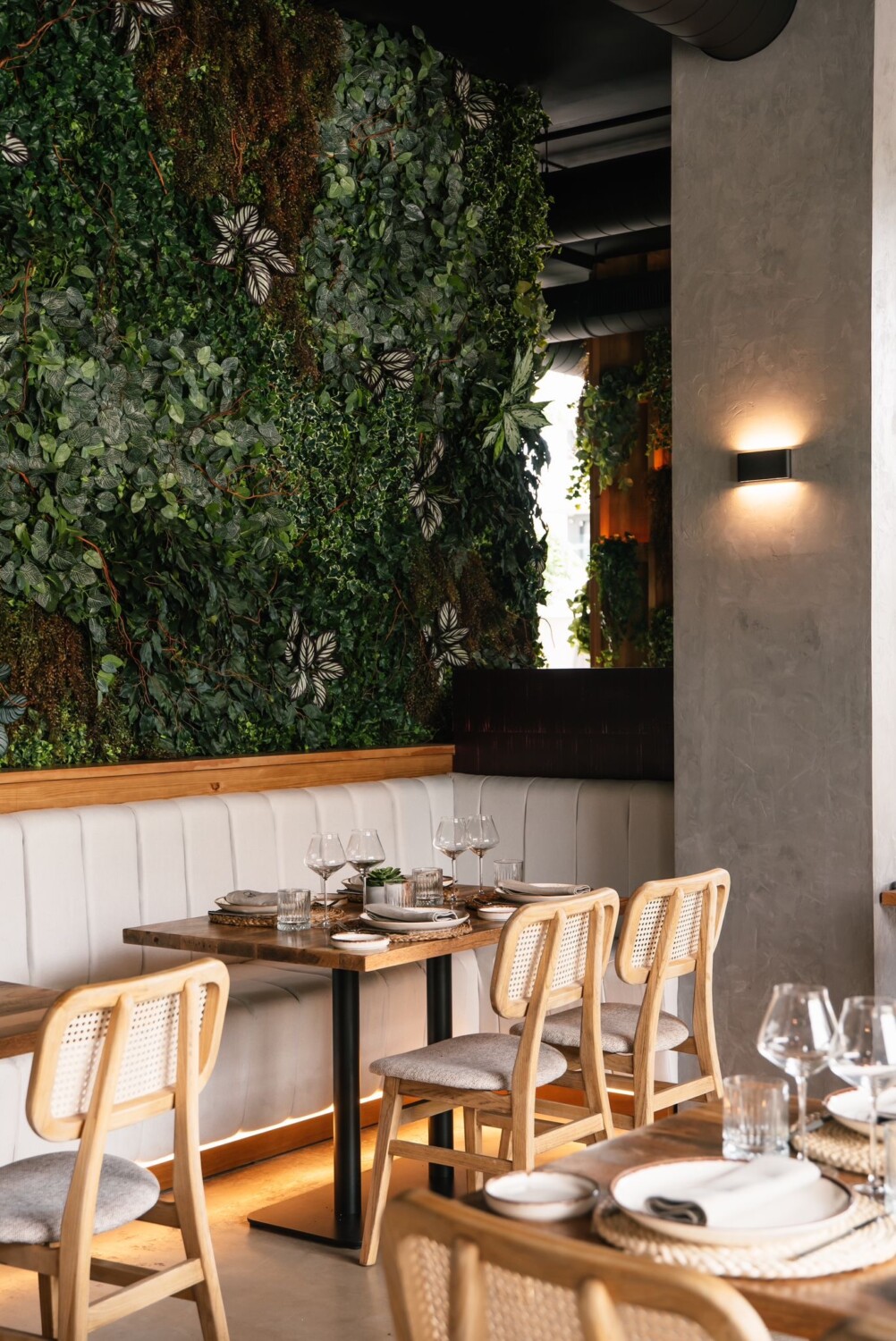 bacai-ficus-valencia-7
