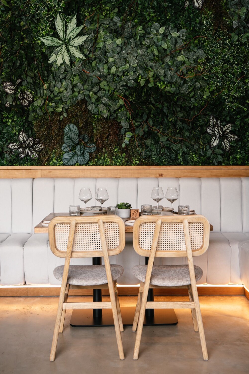 bacai-ficus-valencia-8