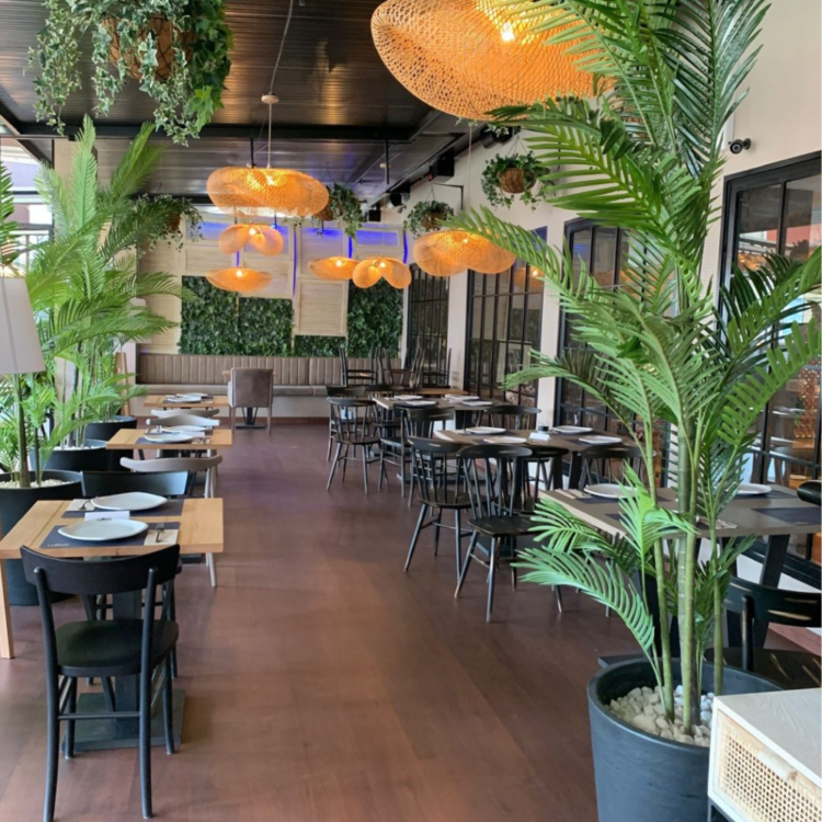 decoración-vegetal-para-escaparates-sin-mantenimiento-2