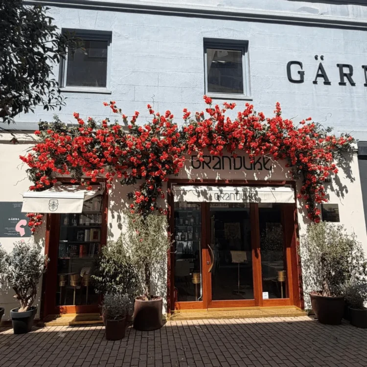 Fachada de un local decorada con buganvilla artificial roja y olivos en macetas