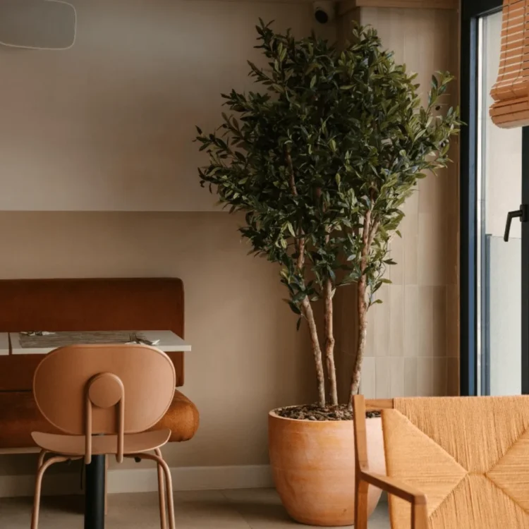 Árbol artificial con tronco natural en una maceta de barro dentro de una cafetería