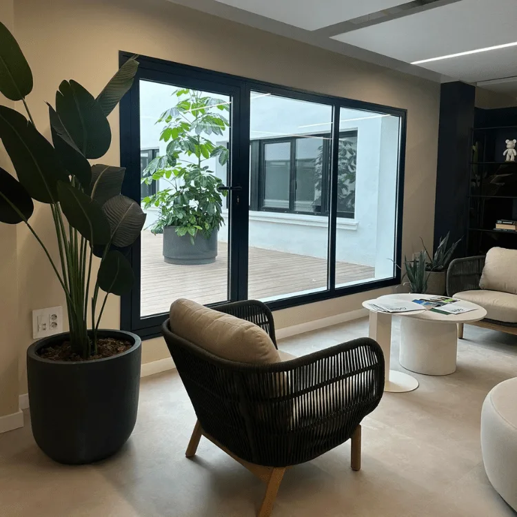 Salón con planta artificial de gran porte en maceta junto al ventanal