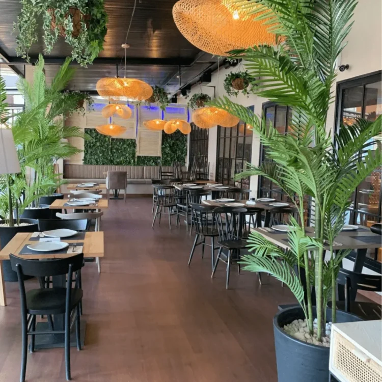 Comedor de restaurante decorado con palmeras artificiales y plantas colgantes