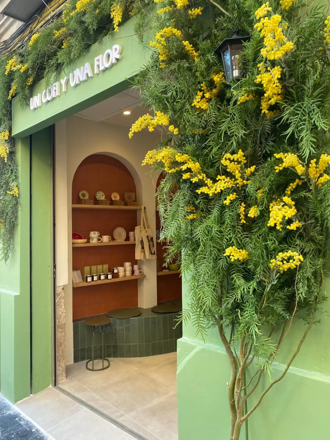un-cofi-y-una-flor-arbol-mimosa-fachada-valencia-01