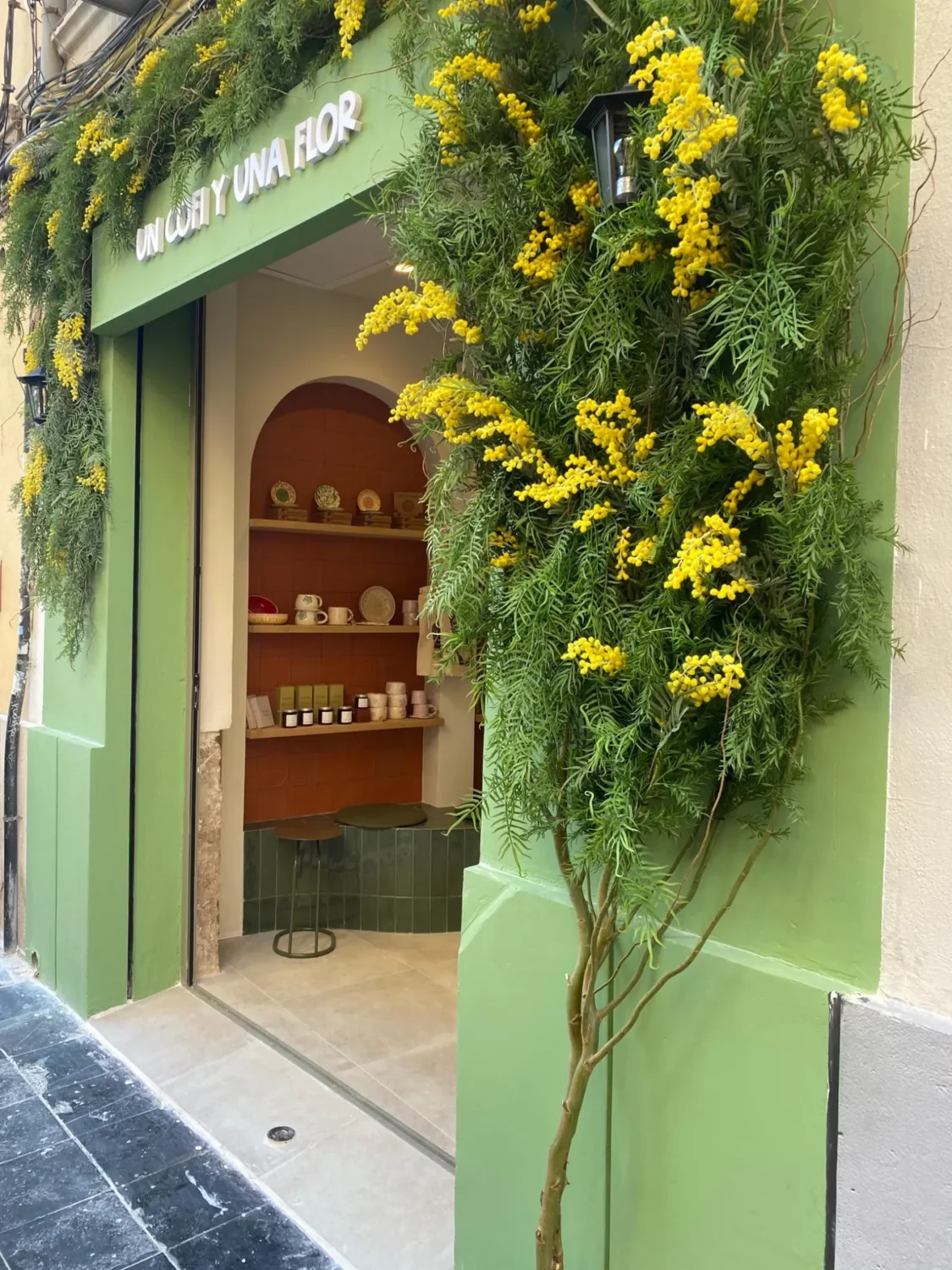 un-cofi-y-una-flor-arbol-mimosa-fachada-valencia-02