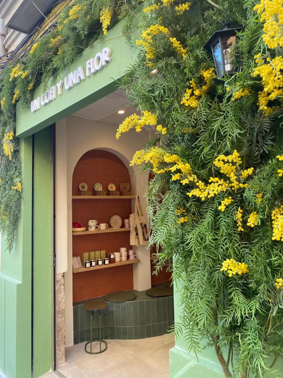un-cofi-y-una-flor-decoracion-vegetal-fachada-valencia