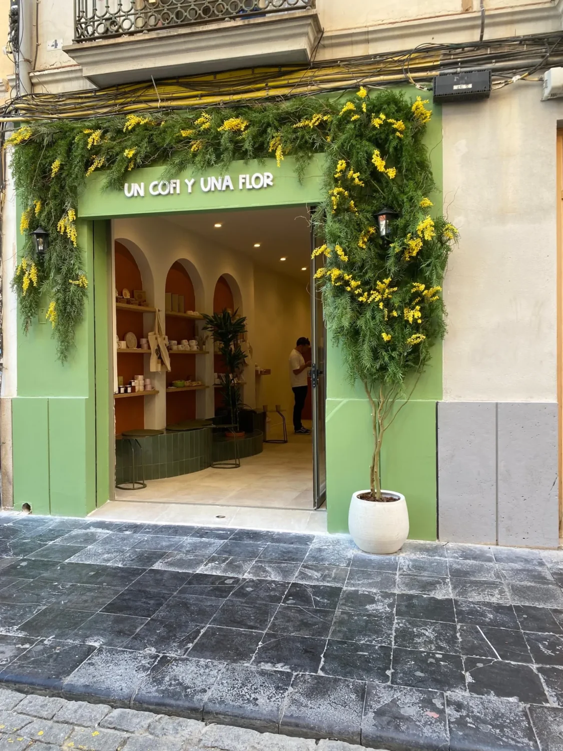 un-cofi-y-una-flor-fachada-mimosa-valencia-01