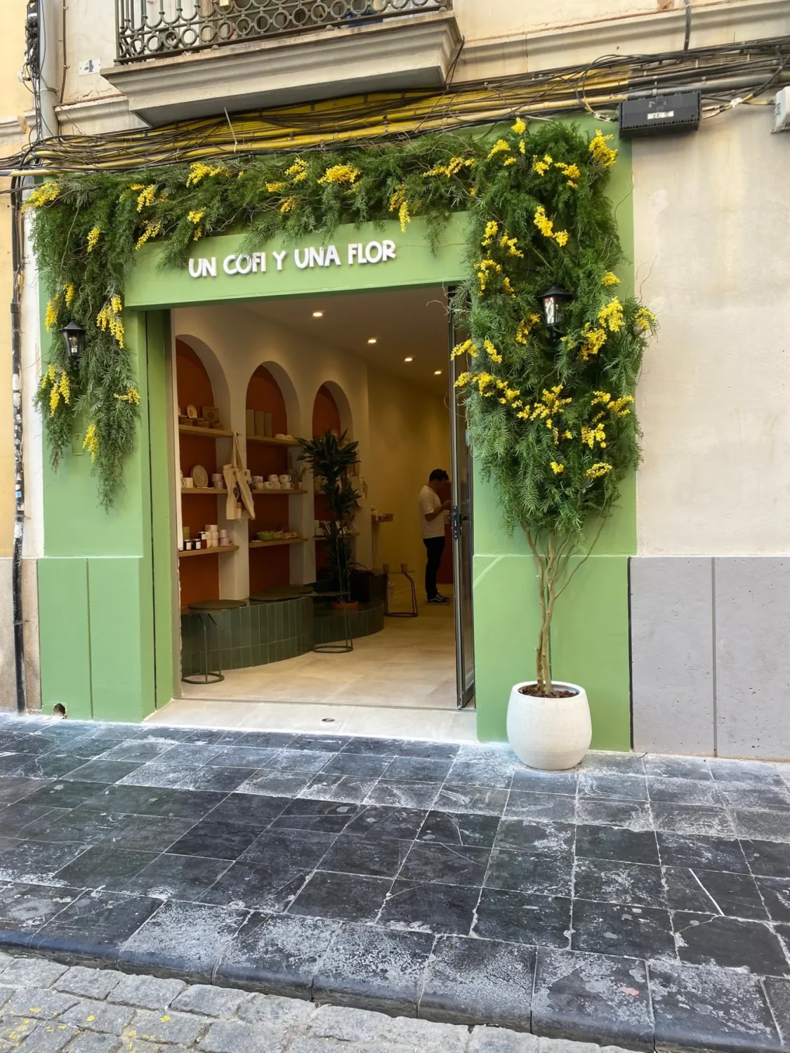 un-cofi-y-una-flor-fachada-mimosa-valencia-02